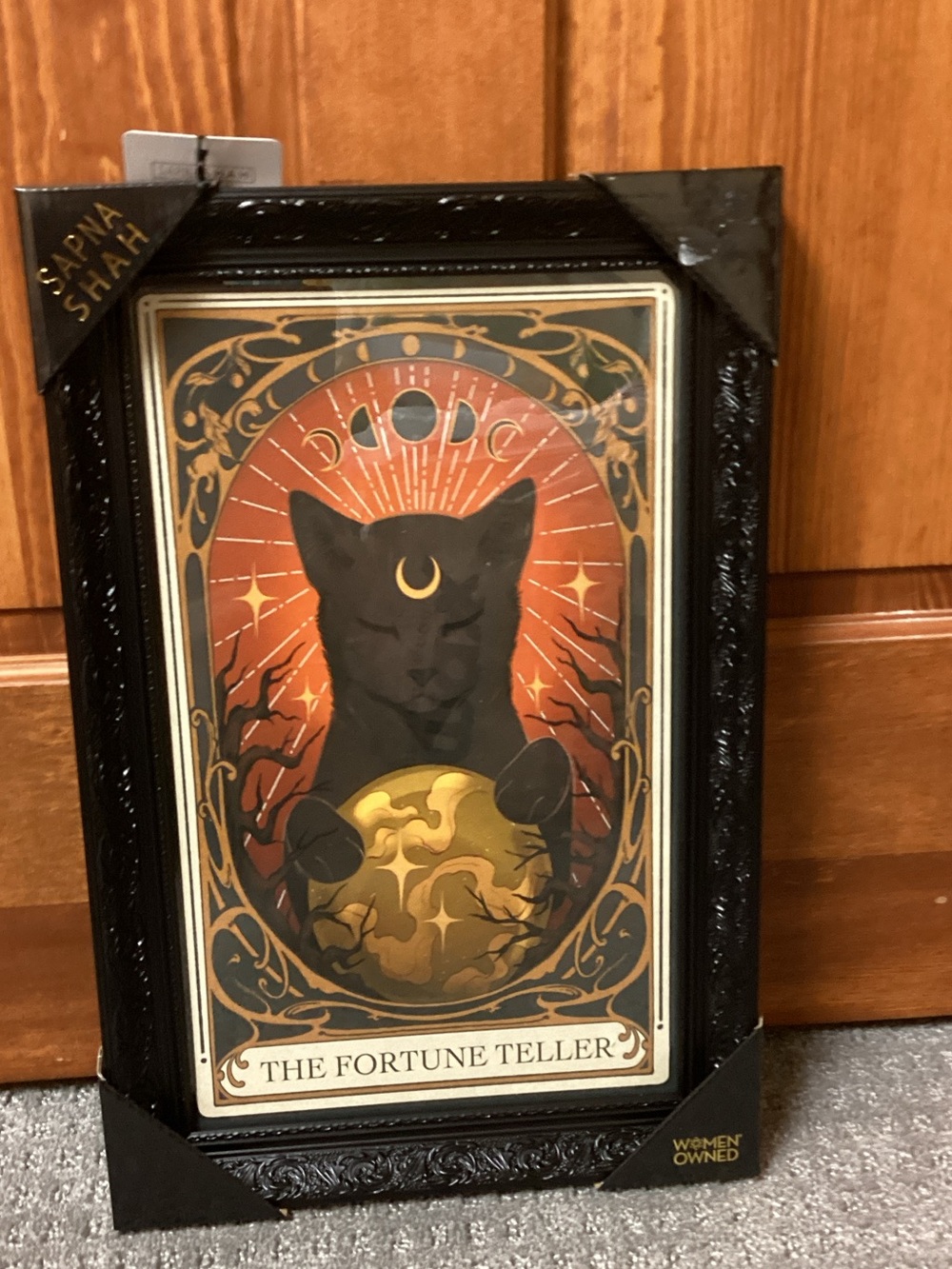 Sapna Shah The Fortune Teller Black Cat Wall Art